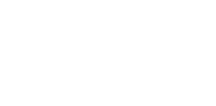 The Pisa Gateway Team